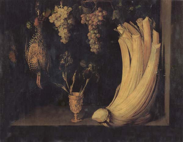 Still Life